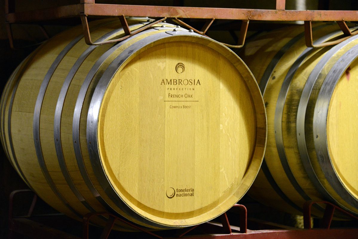 05-12 Bodega Clos de Chacras Wine Barrel Close Up Lujan de Cuyo Near Mendoza
